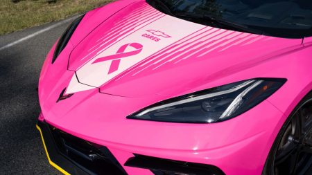 Pink Corvette Stingray Pace Car