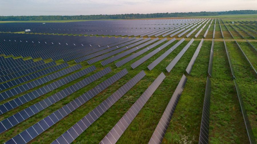Newport Solar array in Arkansas